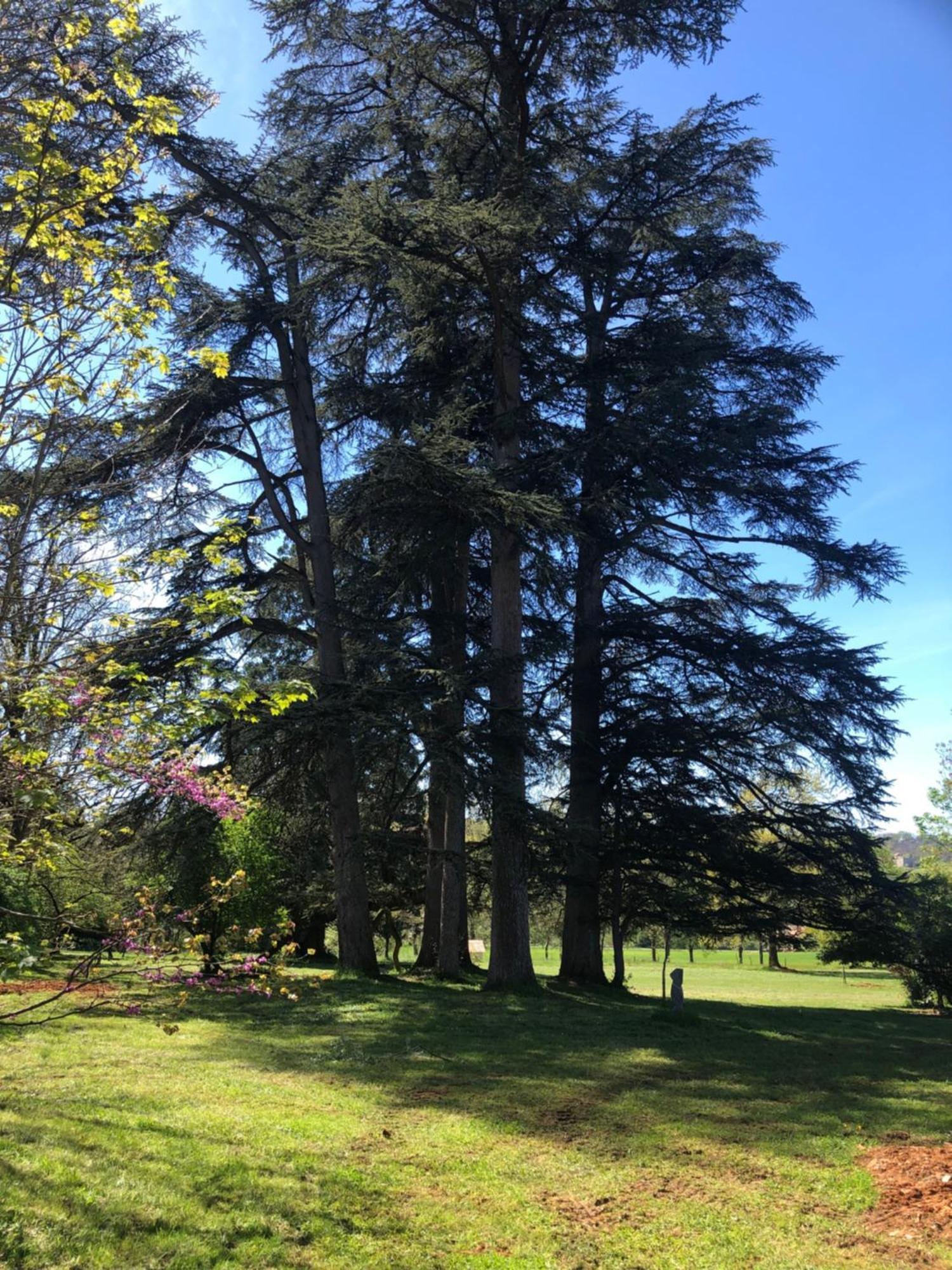 Javerlhac-et-la-Chapelle-Saint-Robert Chateau De Puymoger מראה חיצוני תמונה